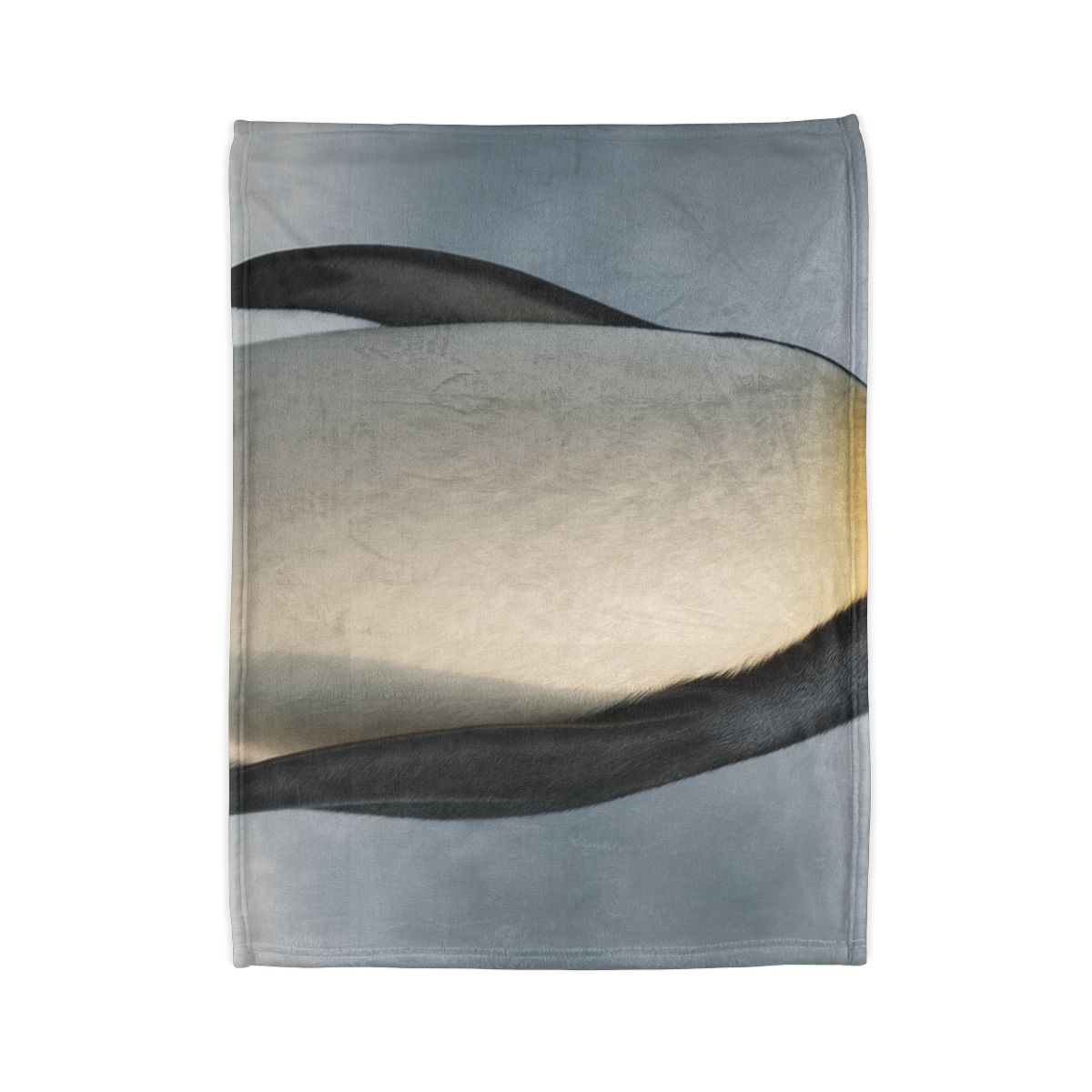 Frost Line Emperor Penguin trendy patterned blankets