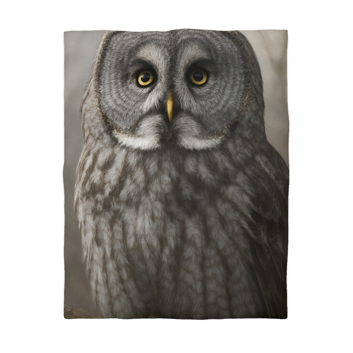 Frost Note Great Gray Owl warm winter duvets