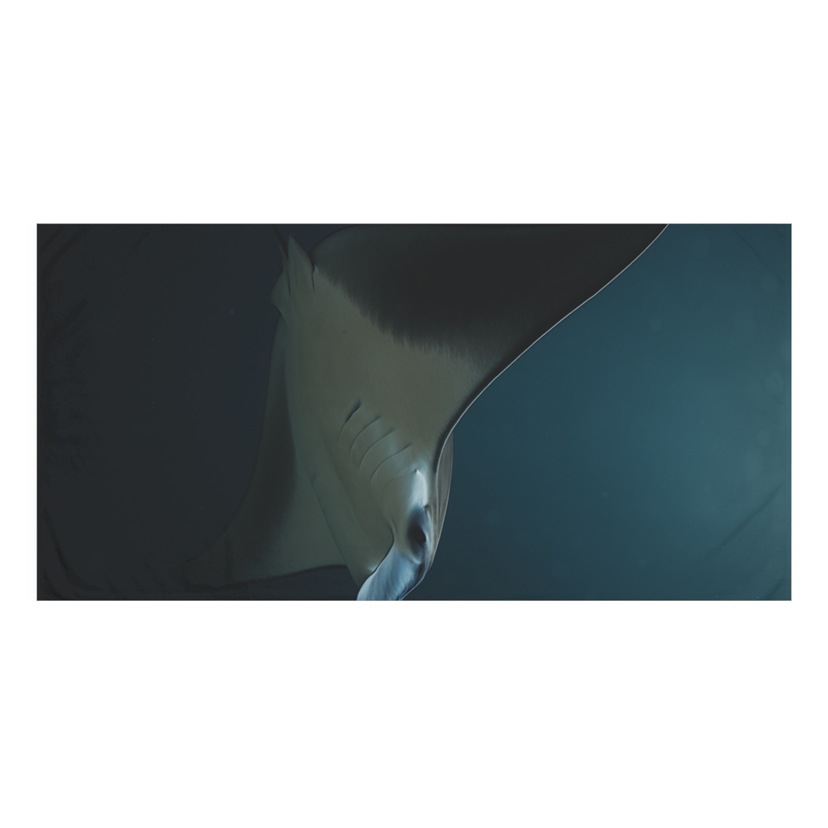 Galaxy Glide Manta Ray trendy hand towels