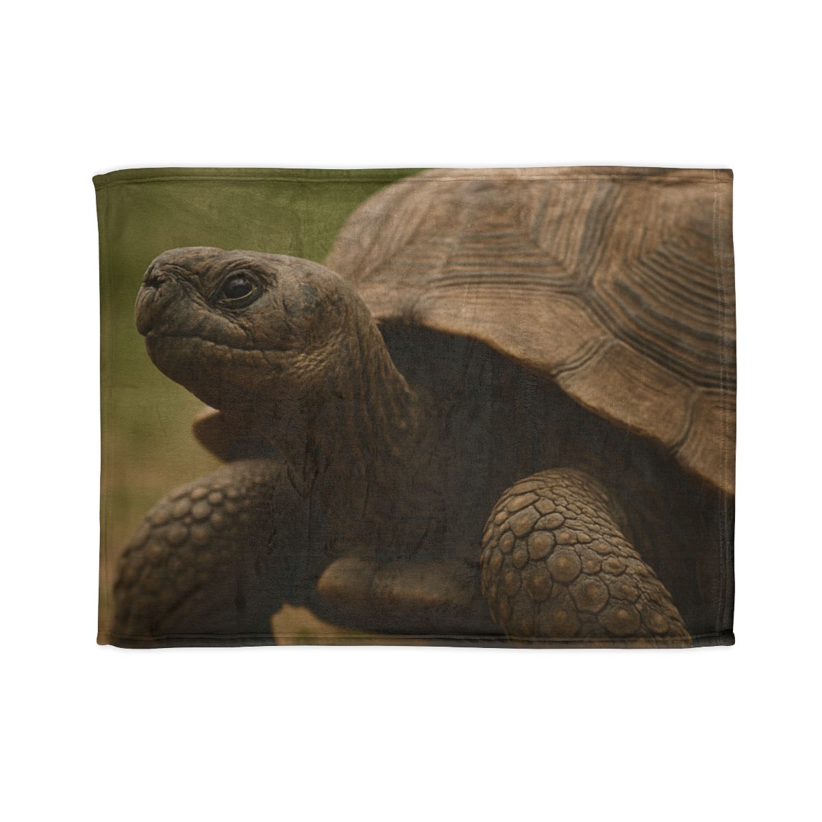 Giant Tortoise Timebound Gaze personalized cozy blankets