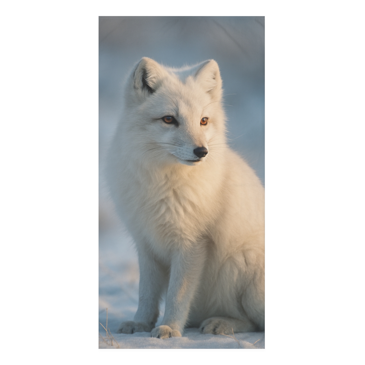 Glacial Whisper Arctic Fox comfortable face towels