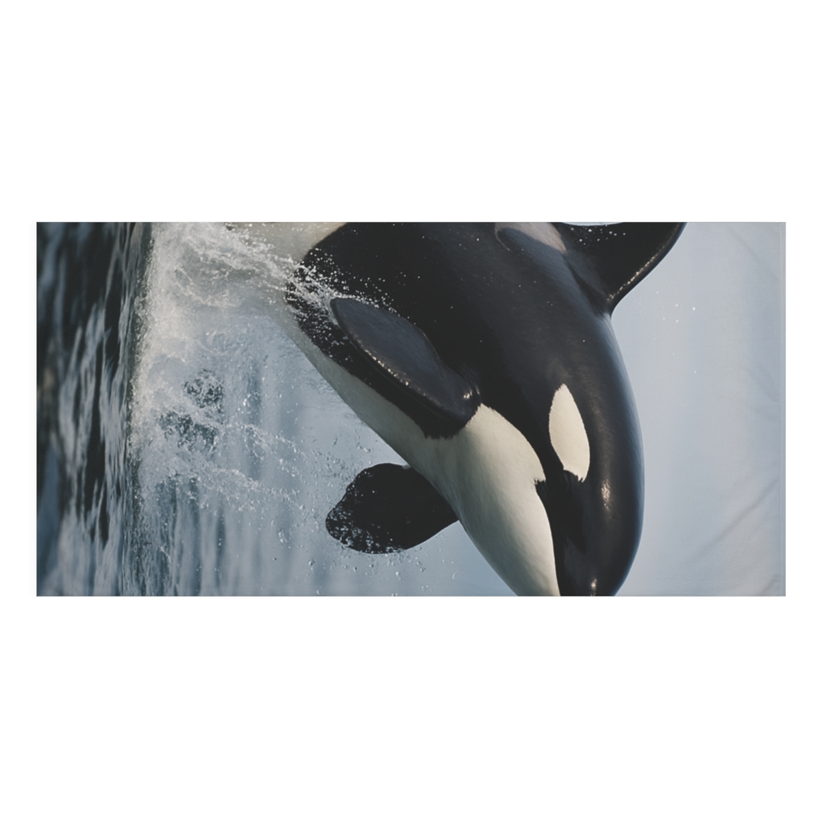 Glacier Echo Orca unique gift towels