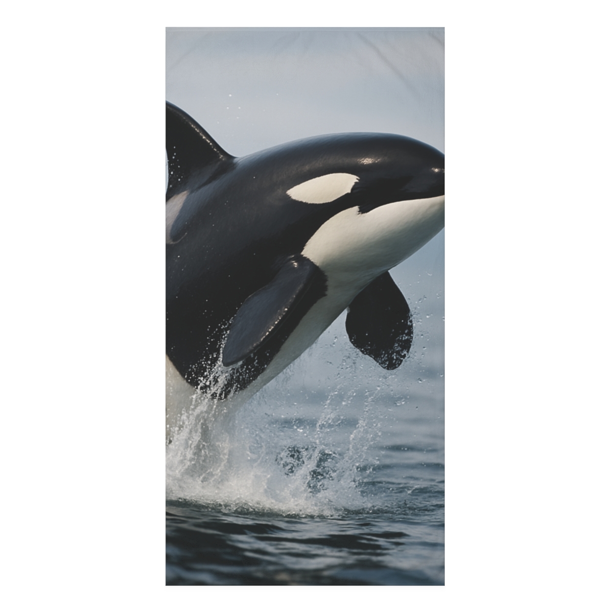 Glacier Echo Orca unique gift towels