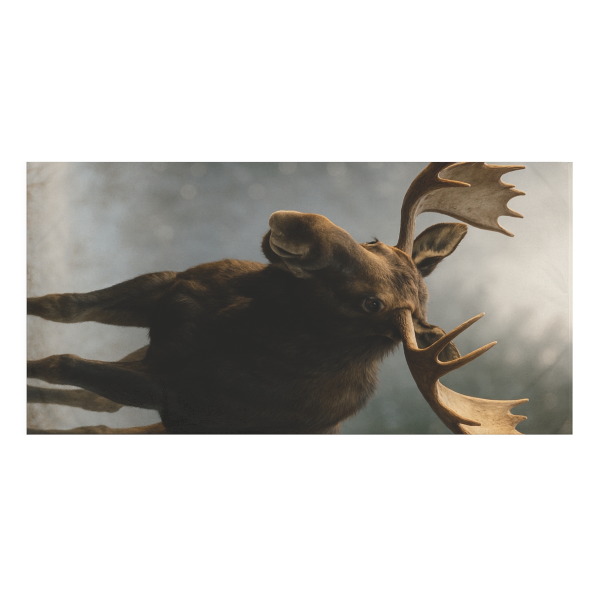 Glacier Shadow Moose unique gift towels