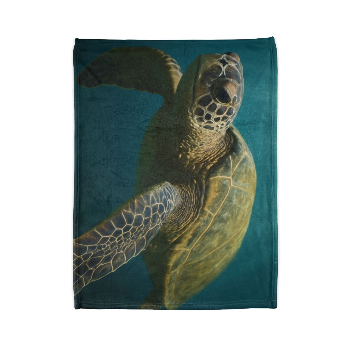 Glasswater Drift Green Sea Turtle warm winter blankets