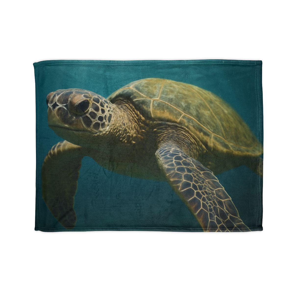 Glasswater Drift Green Sea Turtle warm winter blankets