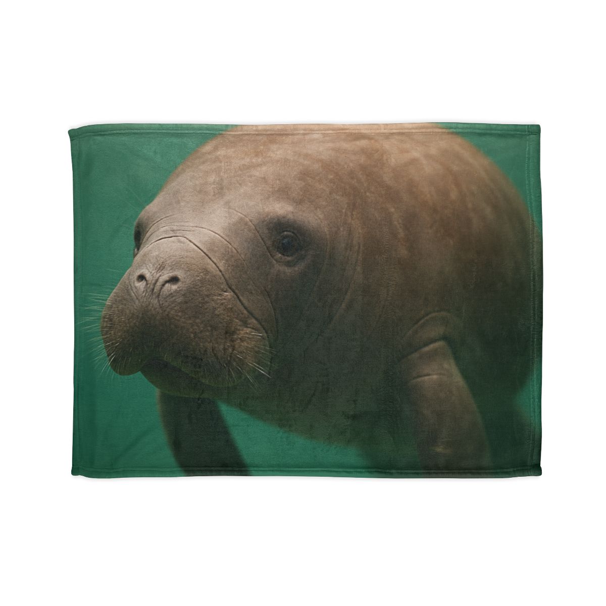 Glasswater Drifter West Indian Manatee stylish throw blankets