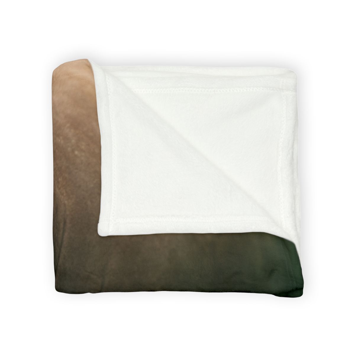 Glasswater Drifter West Indian Manatee stylish throw blankets