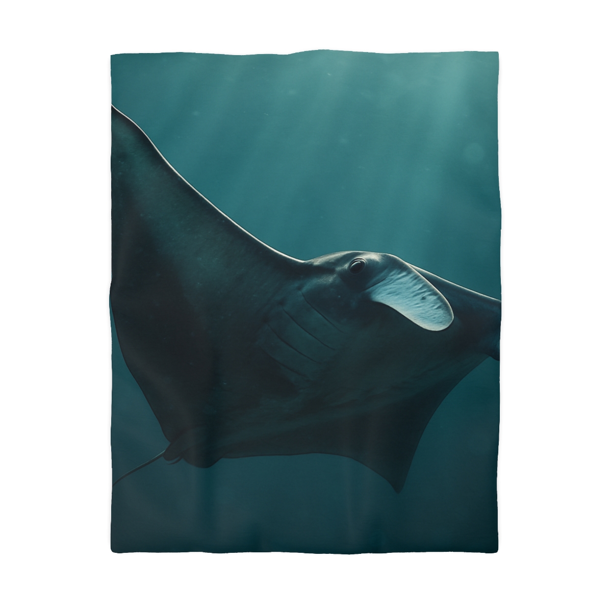 Glasswing Glide Manta Ray duvets for gifts