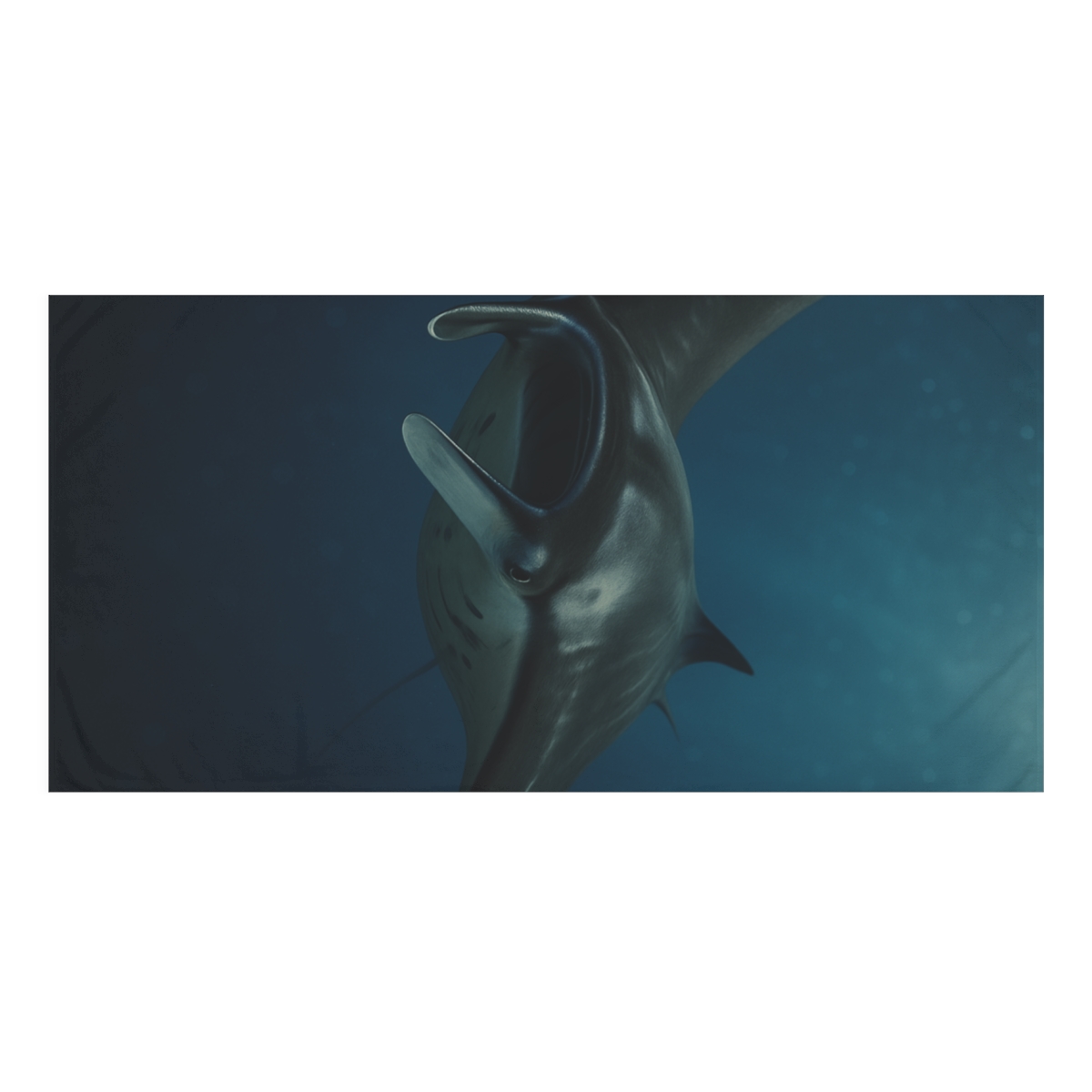 Gliding Silence Giant Manta Ray unique gift towels