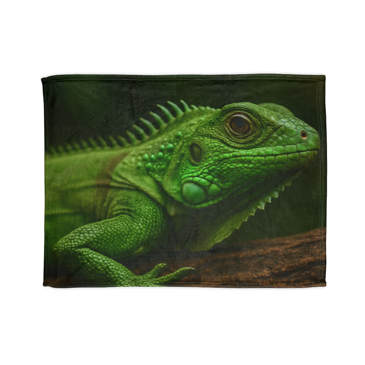Green Iguana Sun Stillness designer printed blankets
