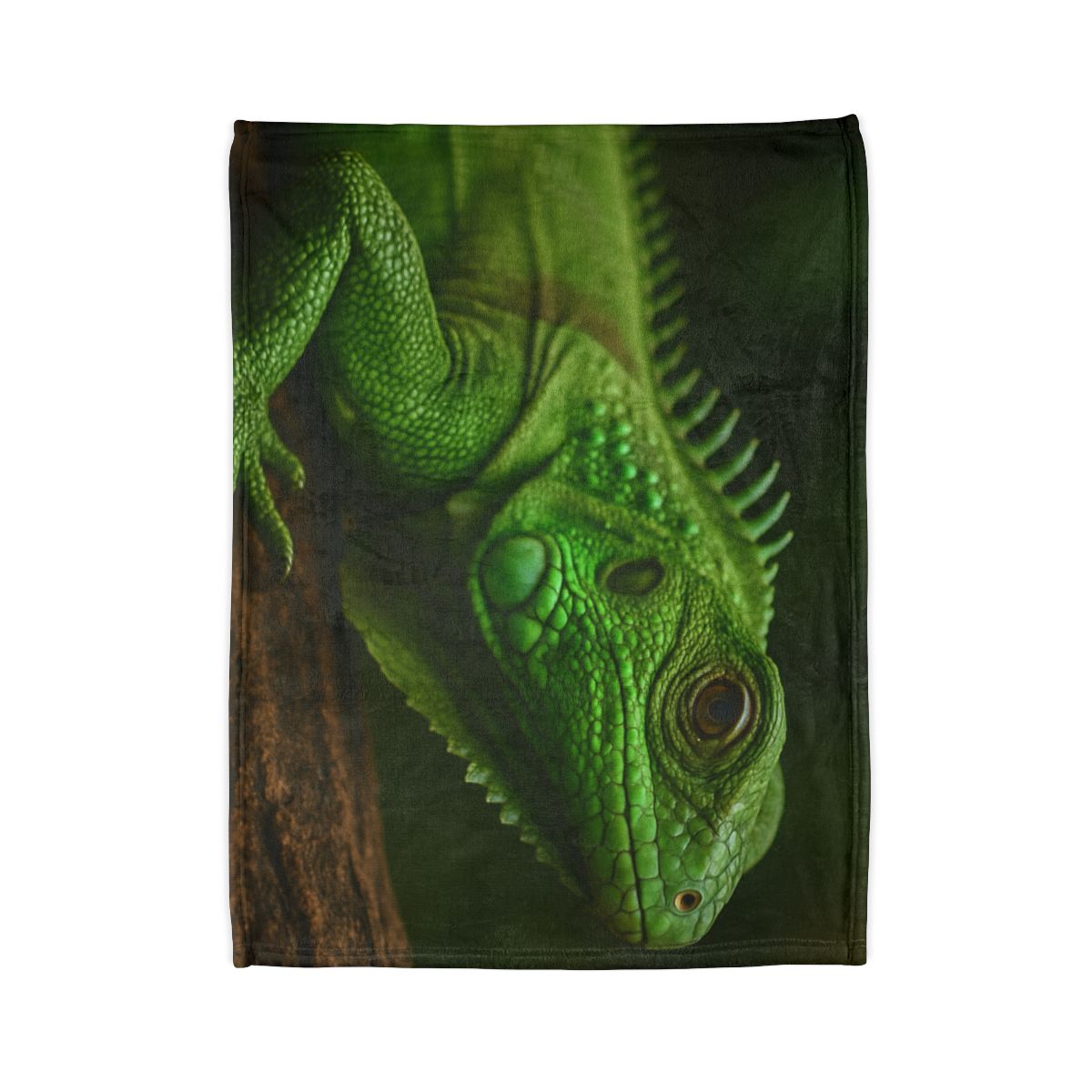 Green Iguana Sun Stillness designer printed blankets