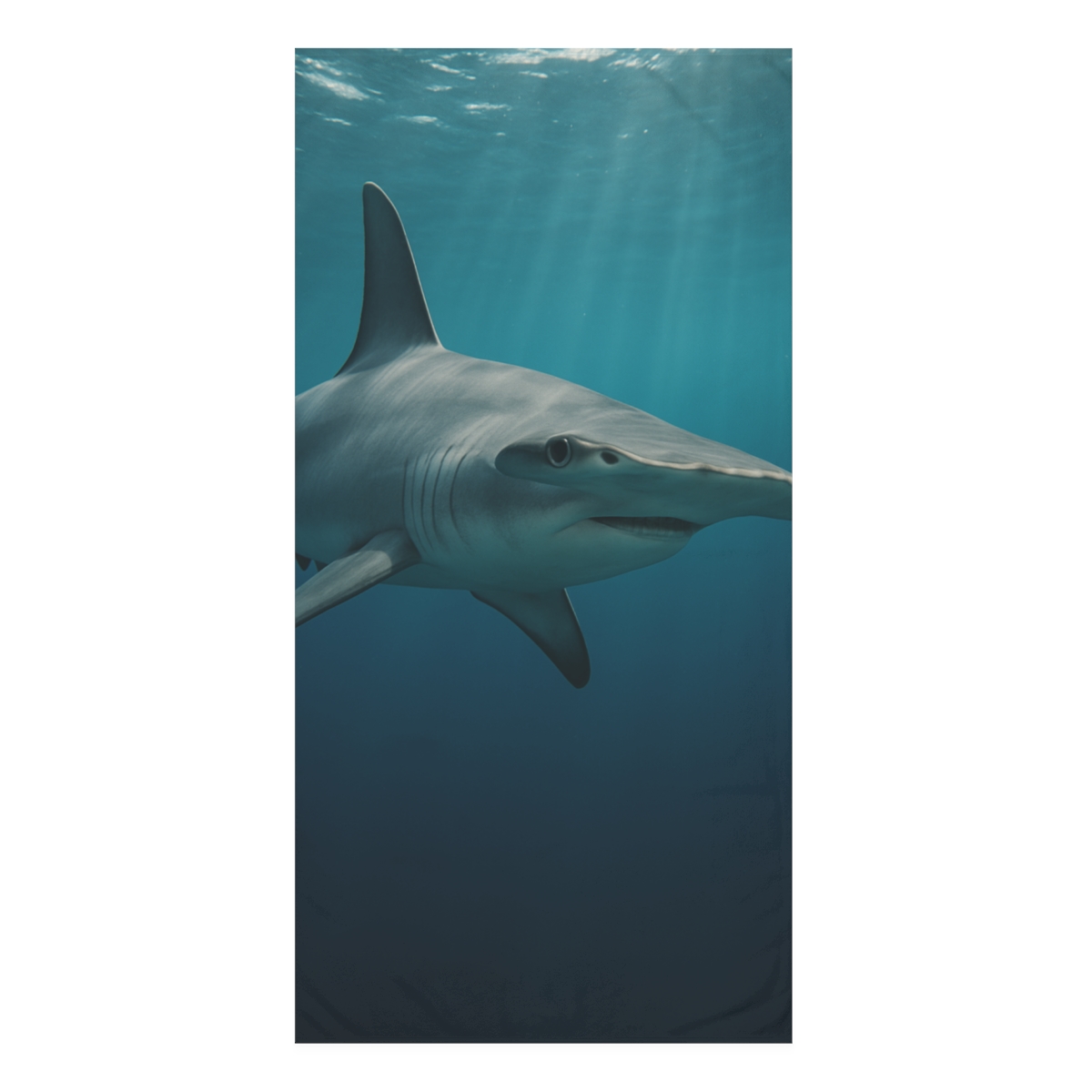 Hammerhead Shark Silent Horizon designer printed towels