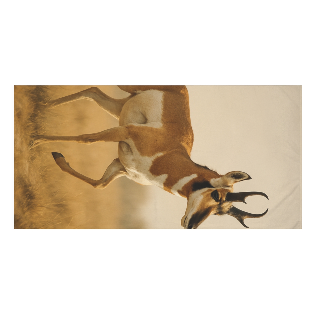 Horizon Pulse Pronghorn comfortable face towels