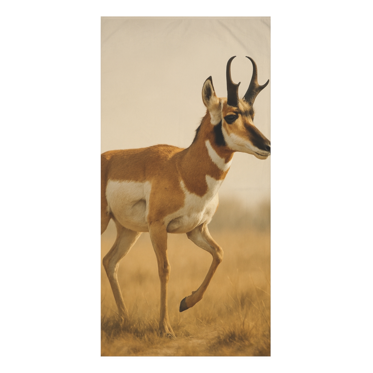 Horizon Pulse Pronghorn comfortable face towels