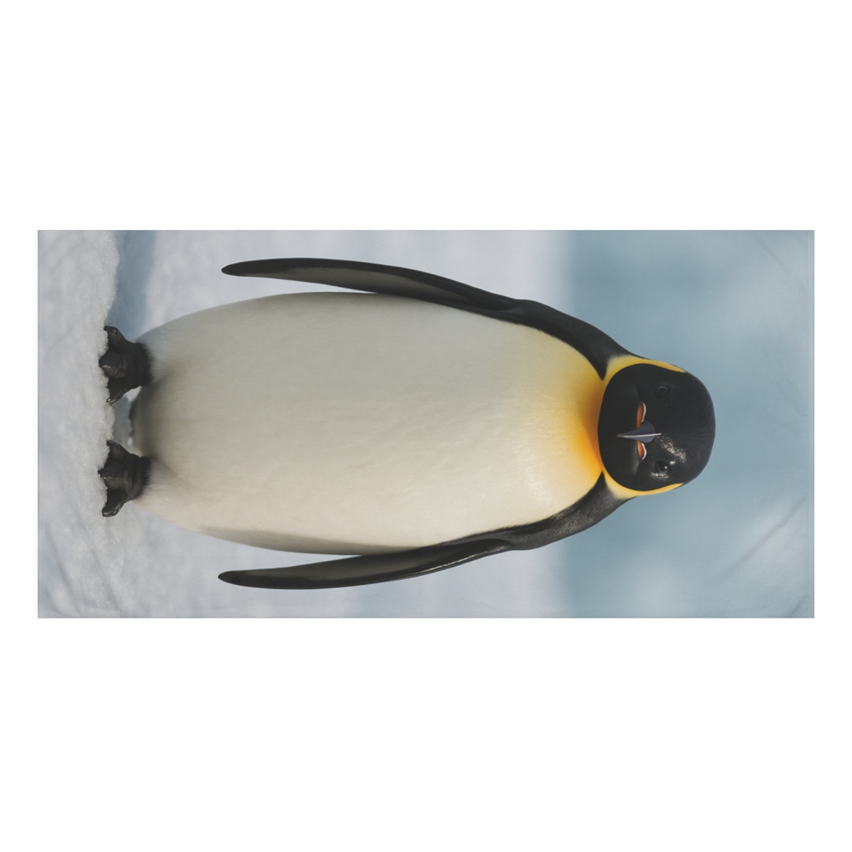 Ice Glow Emperor Penguin comfortable face towels