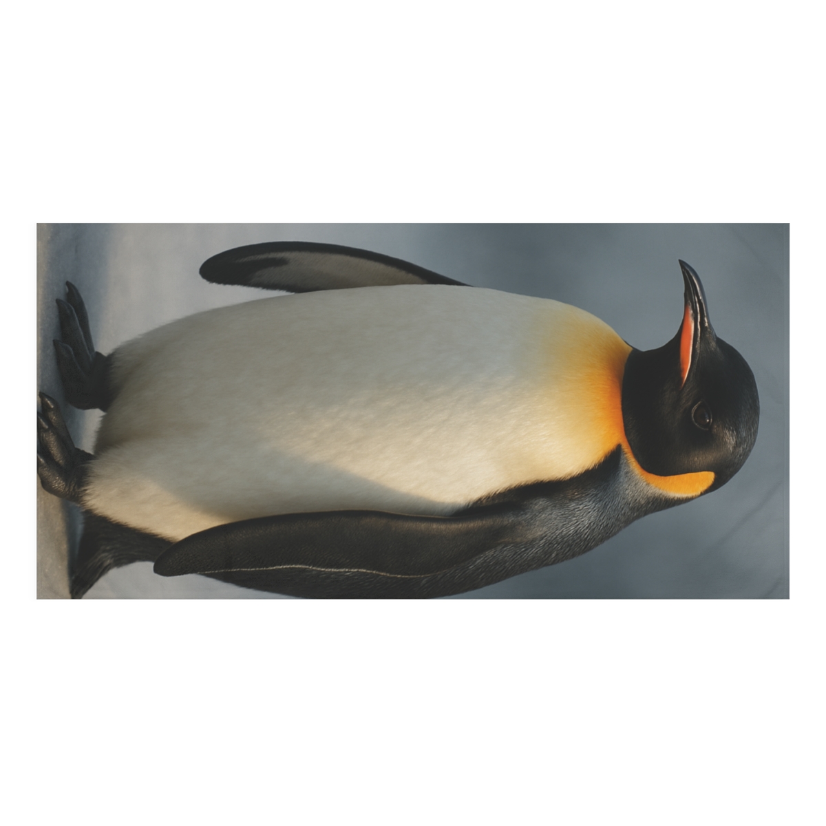 Ice Light Emperor Penguin unique gift towels