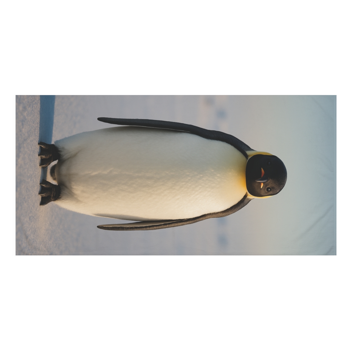Ice March Emperor Penguin unique gift towels