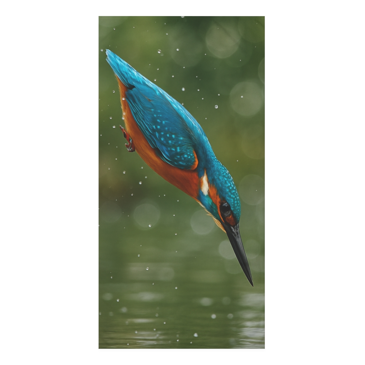Kingfisher Shimmering Dive custom towels