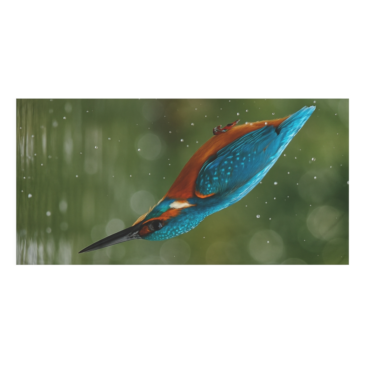 Kingfisher Shimmering Dive custom towels