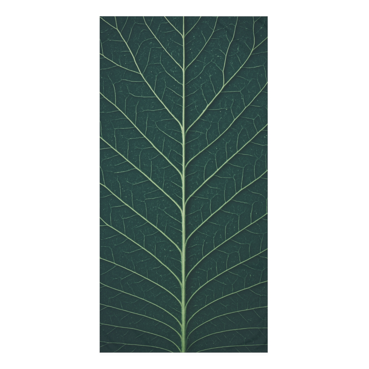 Leaf Vein Constellation unique gift towels