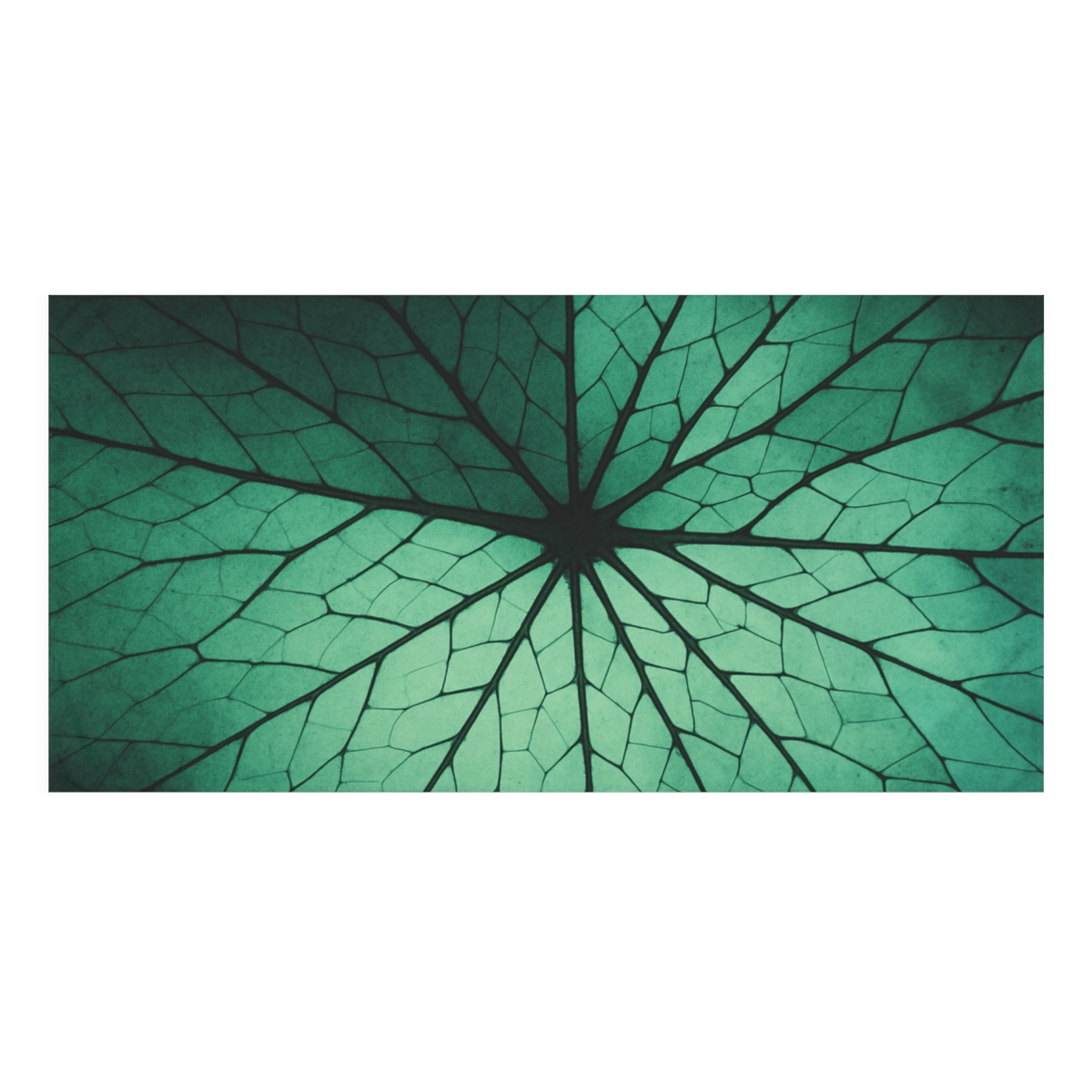 Leaf Vein Starburst Map unique gift towels