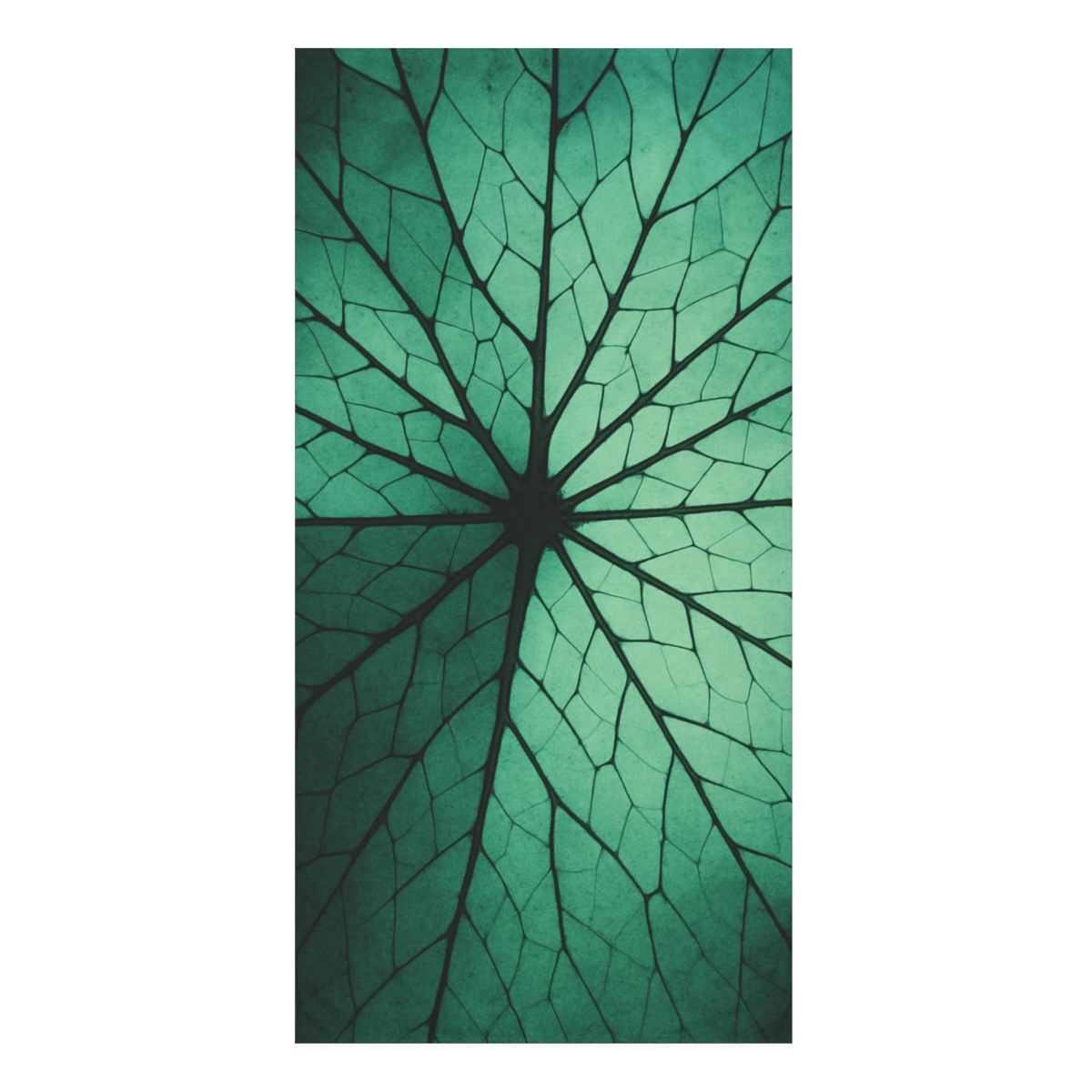 Leaf Vein Starburst Map unique gift towels