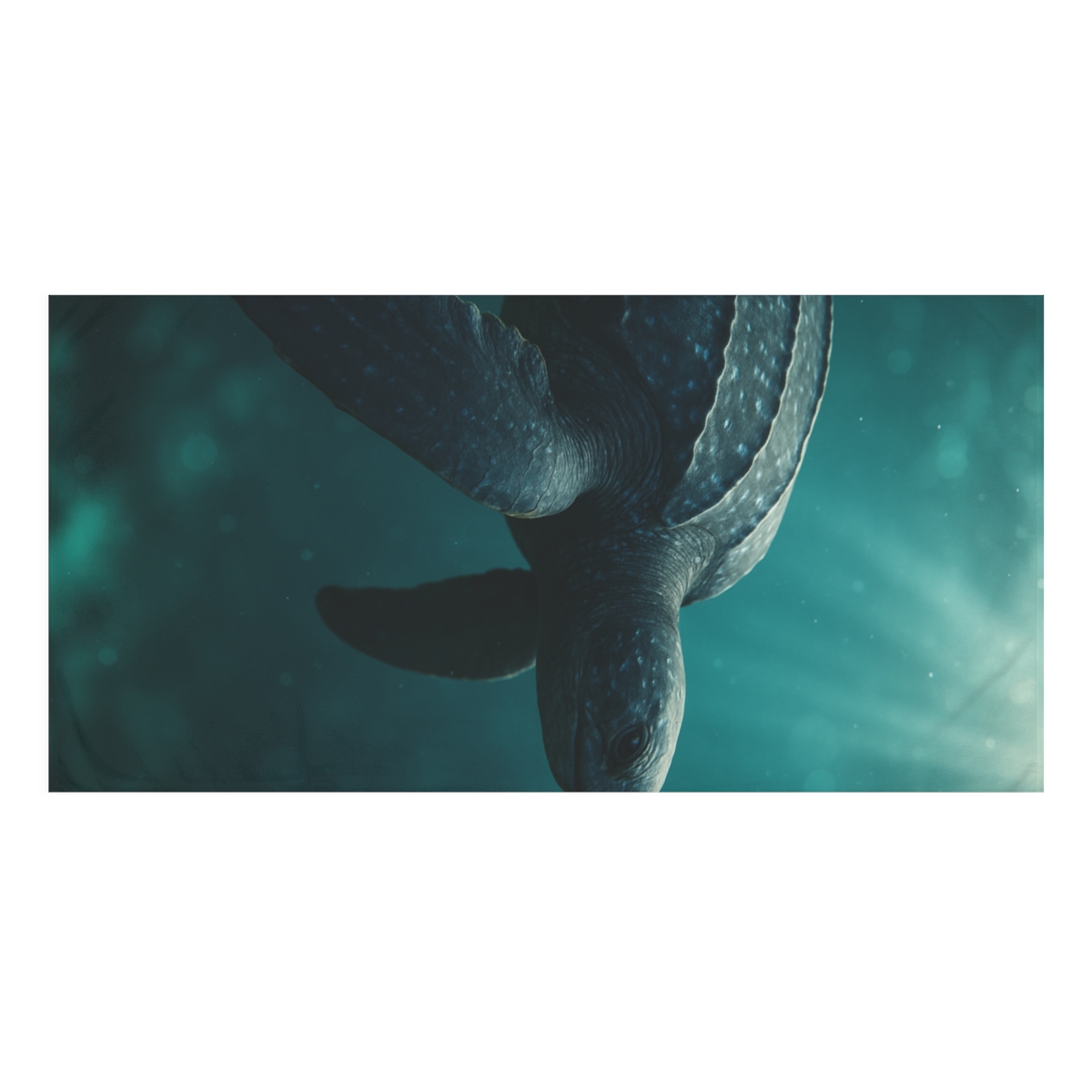 Leatherback Drift Sea Turtle stylish beach towels