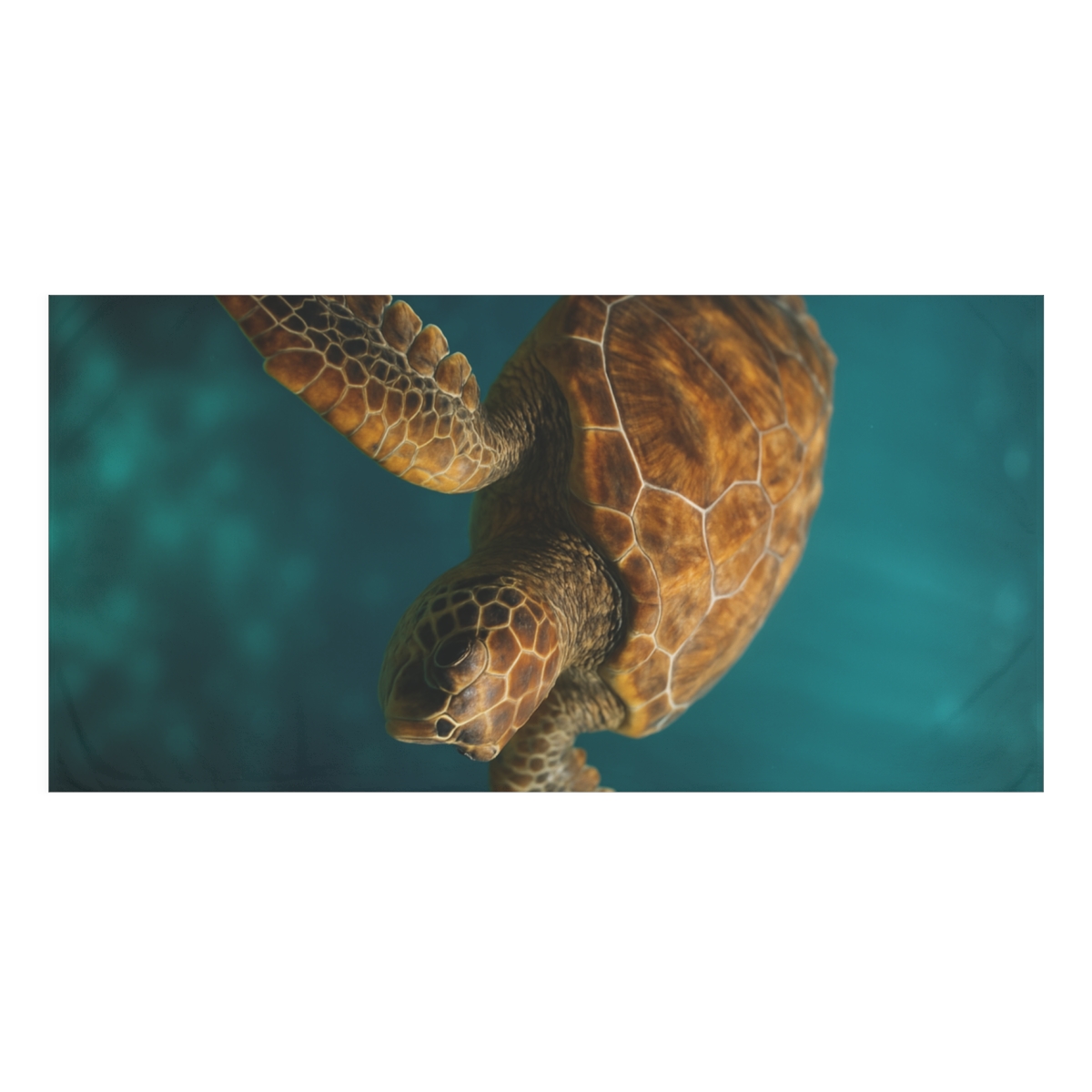 Loggerhead Sea Turtle Starlit Drift personalized bath towels