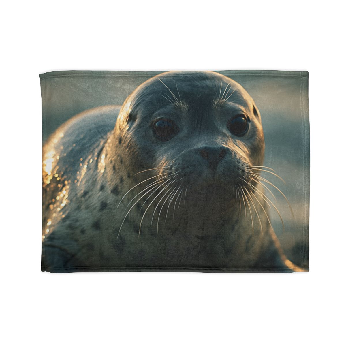 Luminous Gaze Harbor Seal stylish throw blankets