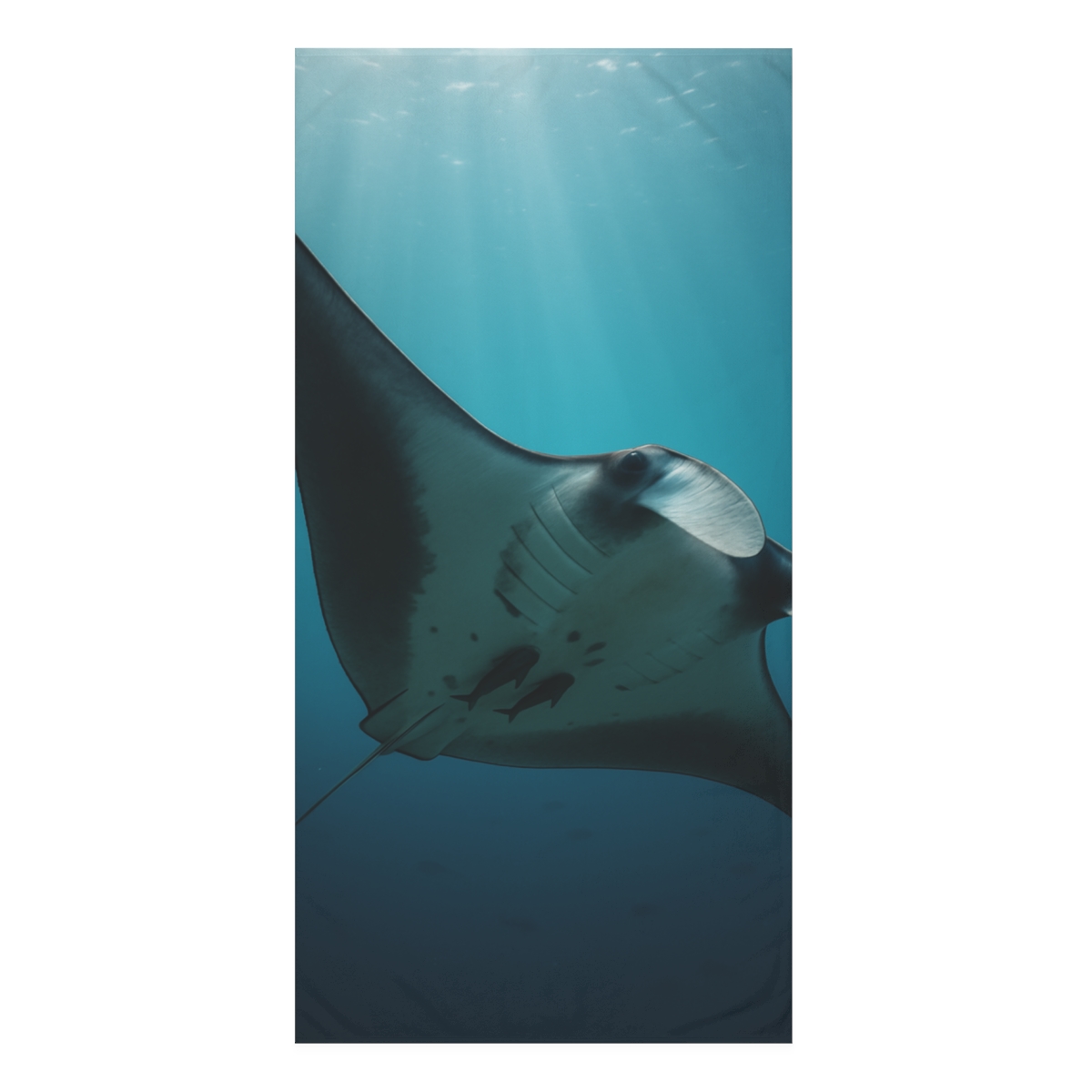 Manta Ray Ocean Glide decorative home towelscustom towels