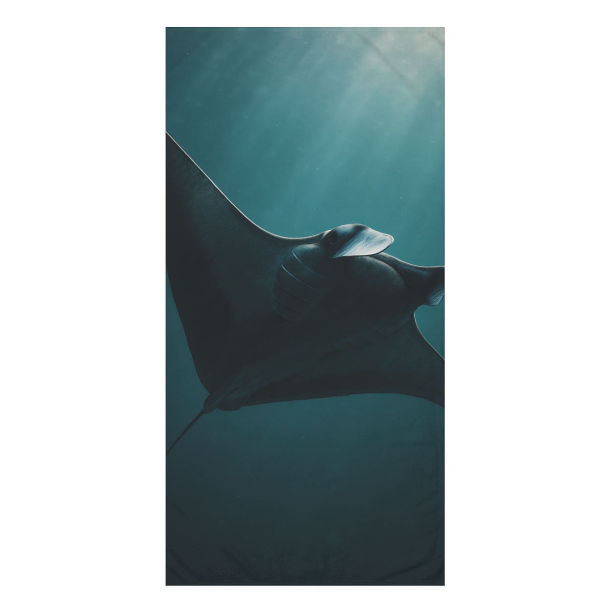 Midnight Glide Manta Ray decorative home towelscustom towels