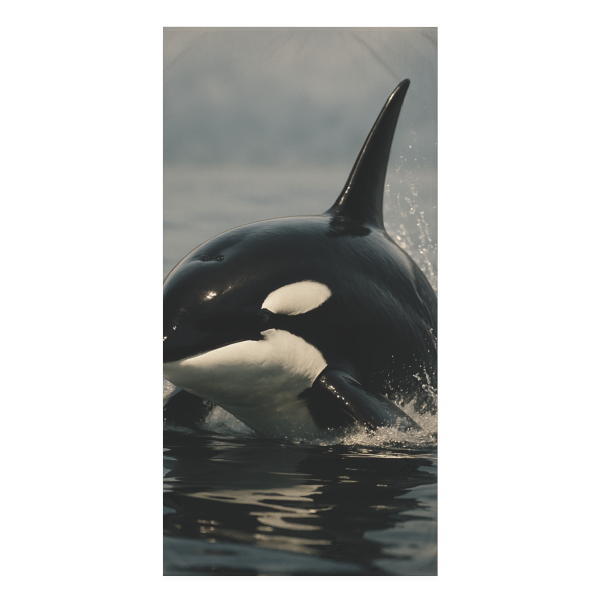 Midnight Spiral Orca soft cotton towels