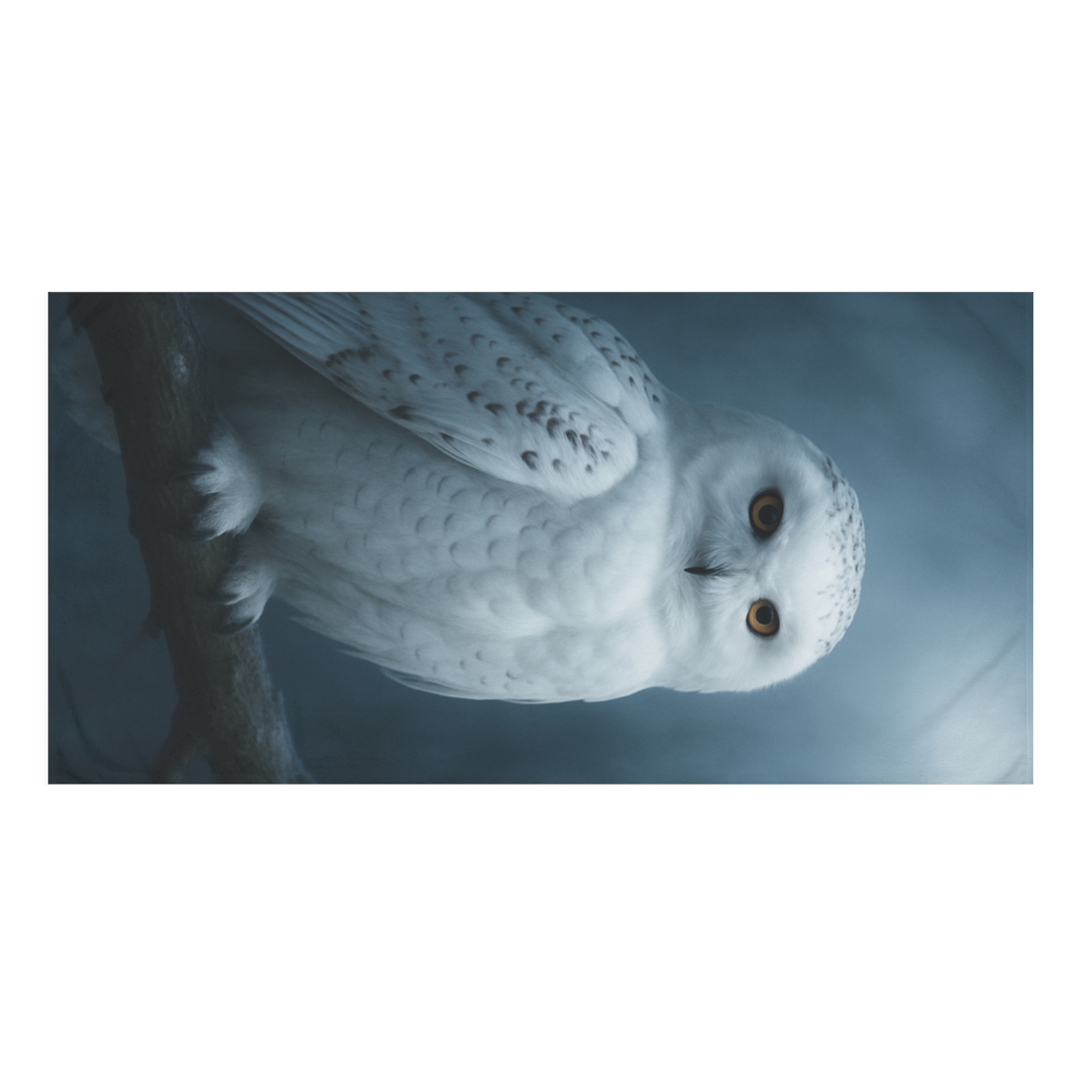 Midnight Watch Snowy Owl stylish beach towels