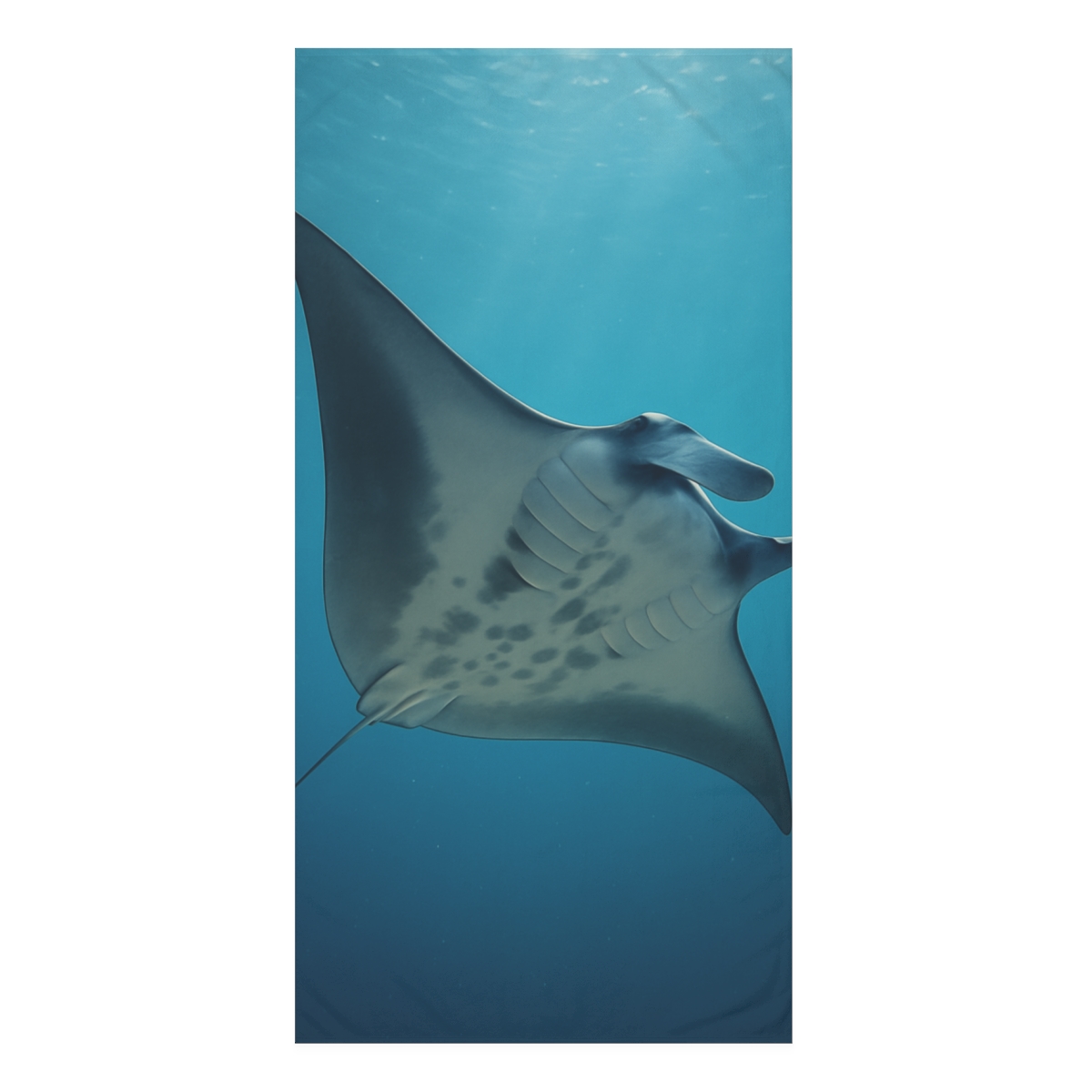 Midwater Drift Manta Ray personalized bath towels