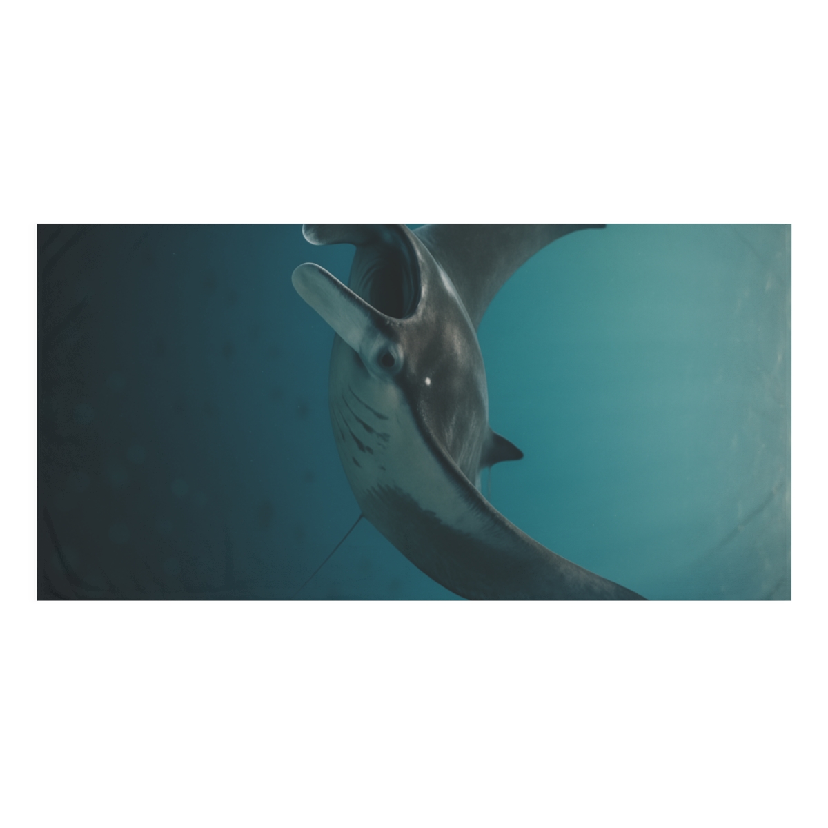 Midwater Phantom Manta Ray custom towels