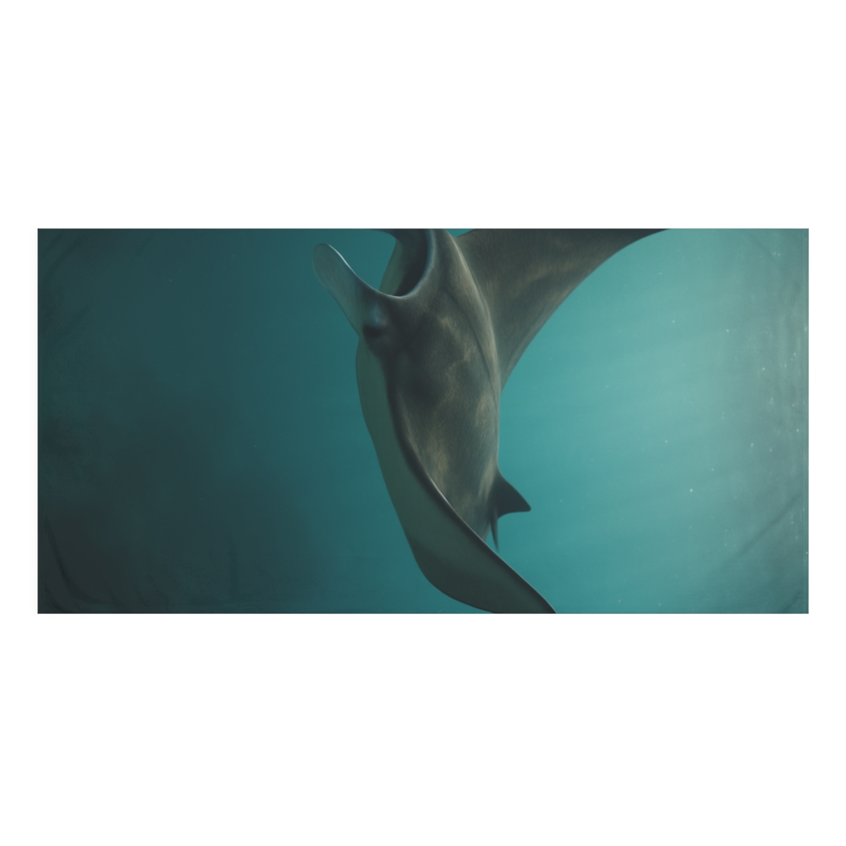 Midwater Sail Manta Ray decorative home towels