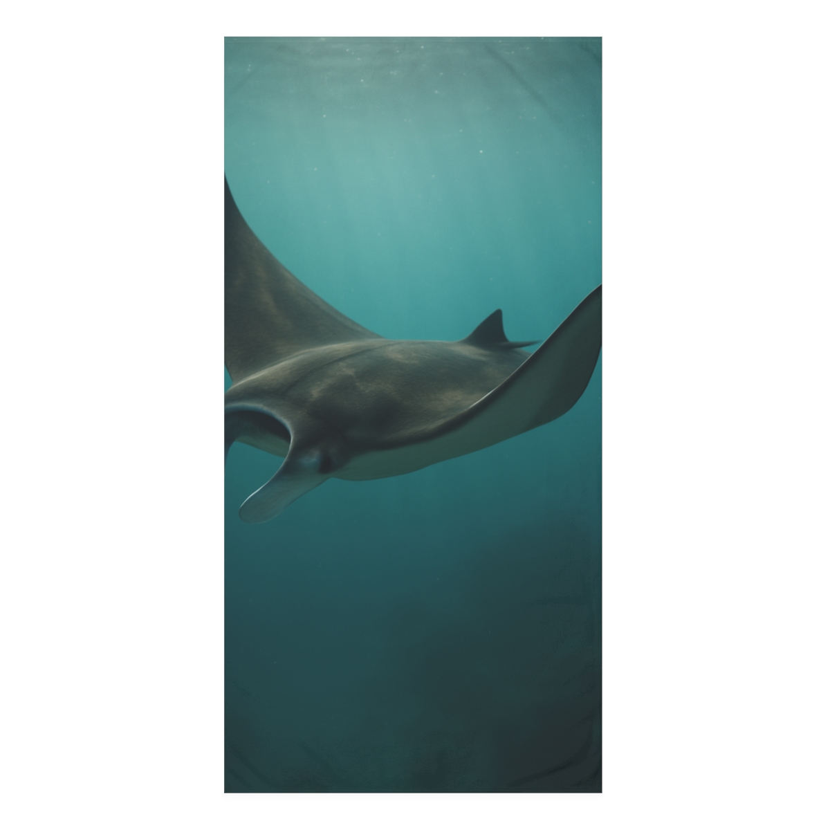 Midwater Sail Manta Ray decorative home towels