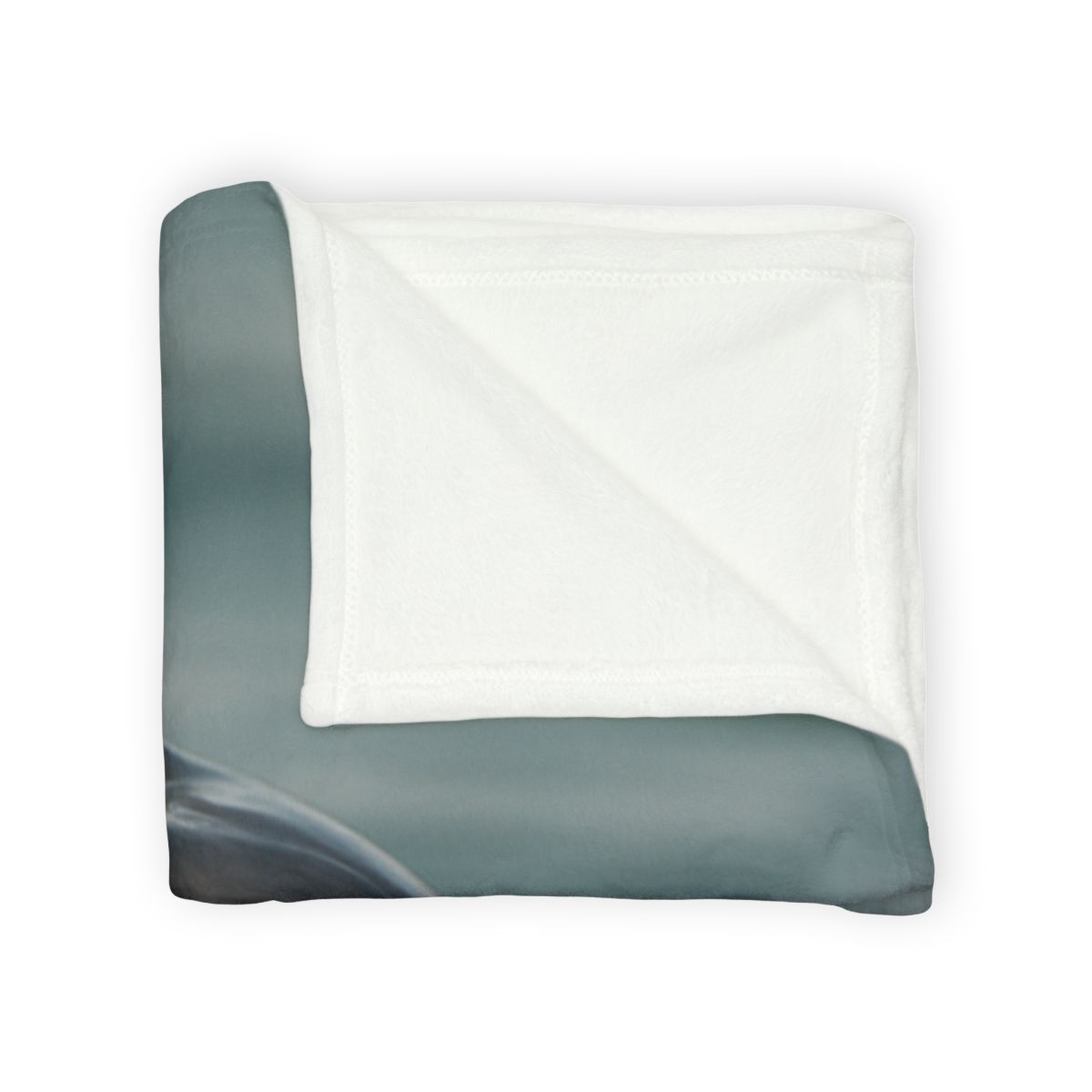 Mirror Calm Bottlenose Dolphin designer printed blankets