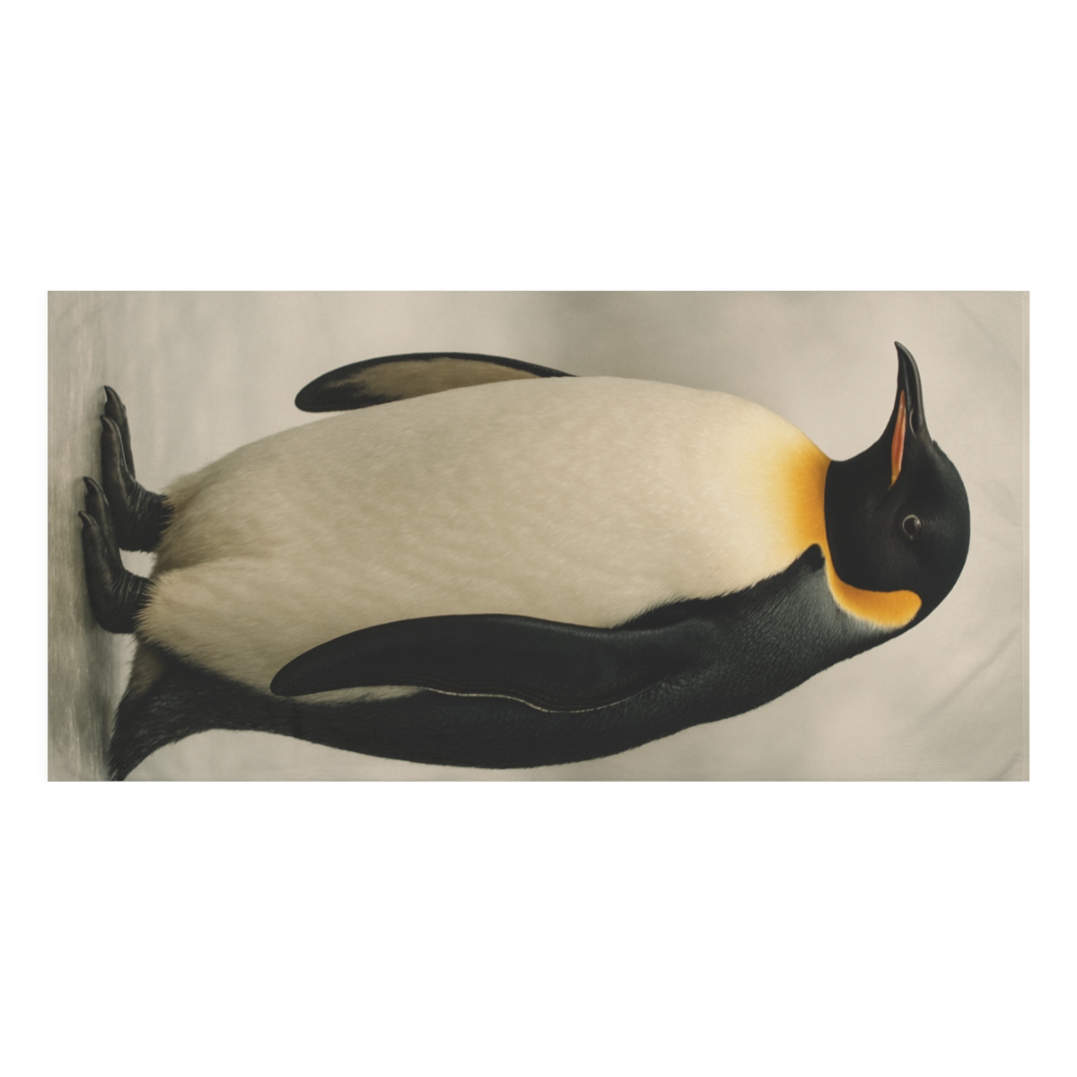 Mirror Calm Emperor Penguin trendy hand towels
