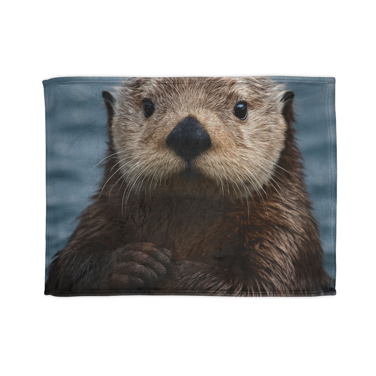 Mirror Drift Sea Otter decorative home blankets