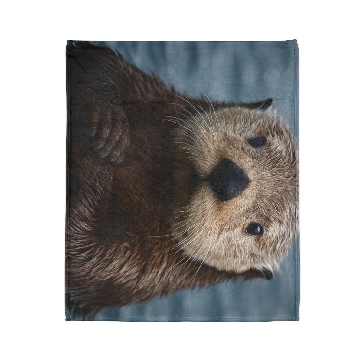 Mirror Drift Sea Otter decorative home blankets