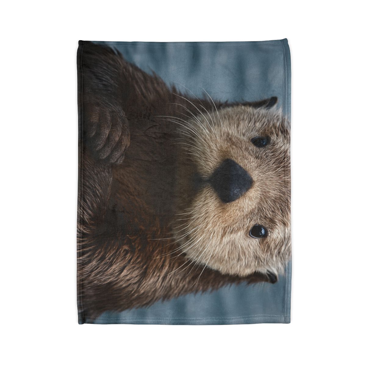 Mirror Drift Sea Otter decorative home blankets