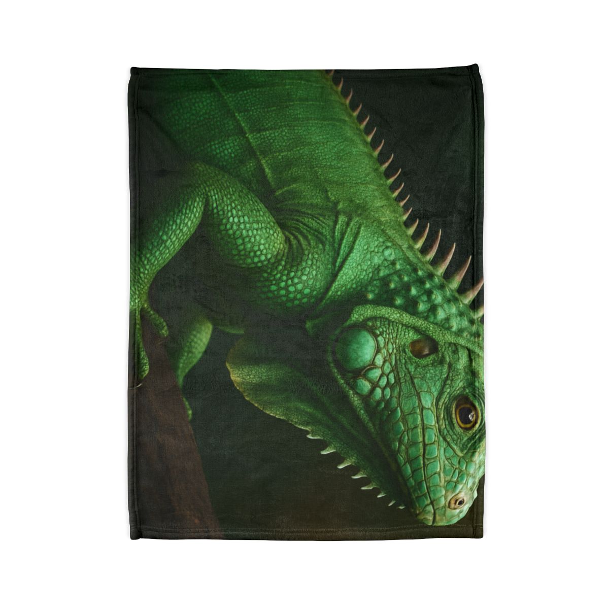 Mirror Glide Green Iguana decorative home blankets