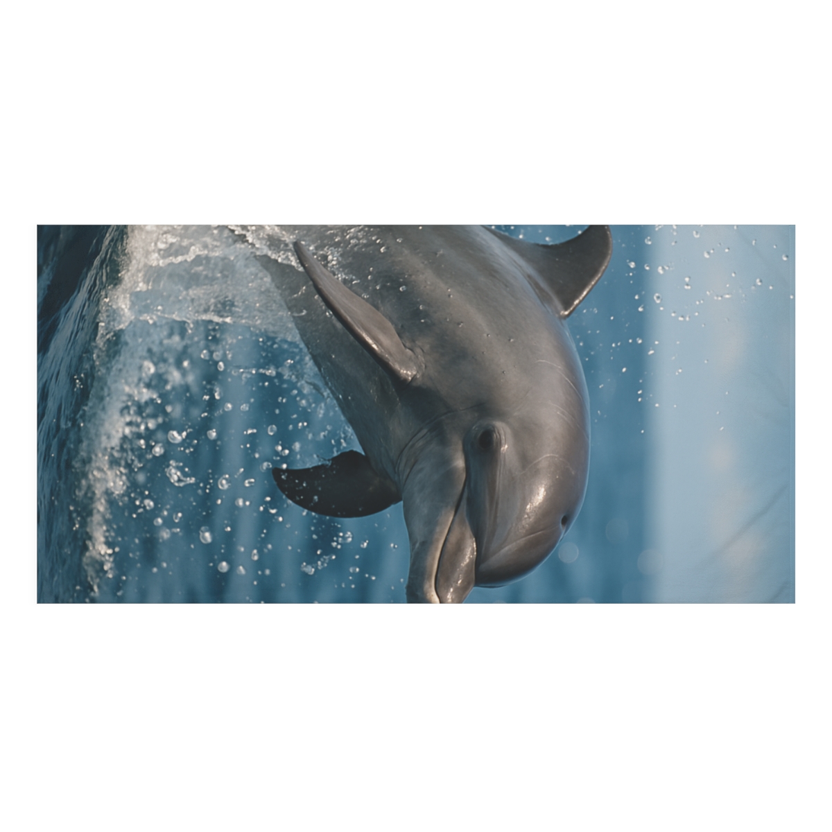 Mirror Splash Bottlenose Dolphin personalized bath towels