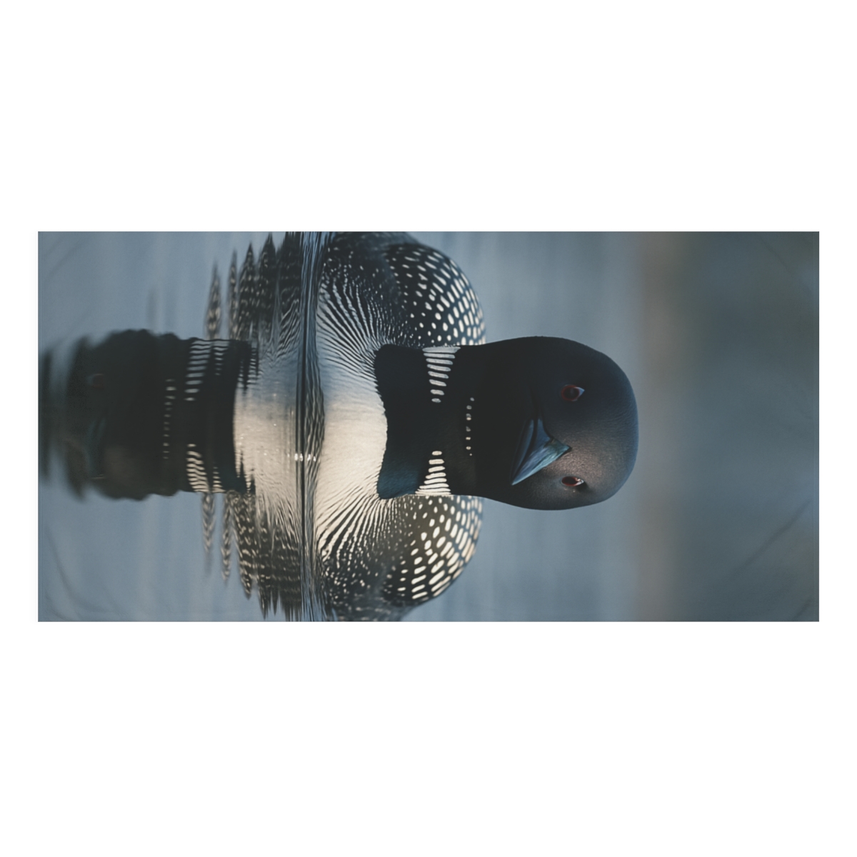 Mirror Wake Common Loon soft cotton towels