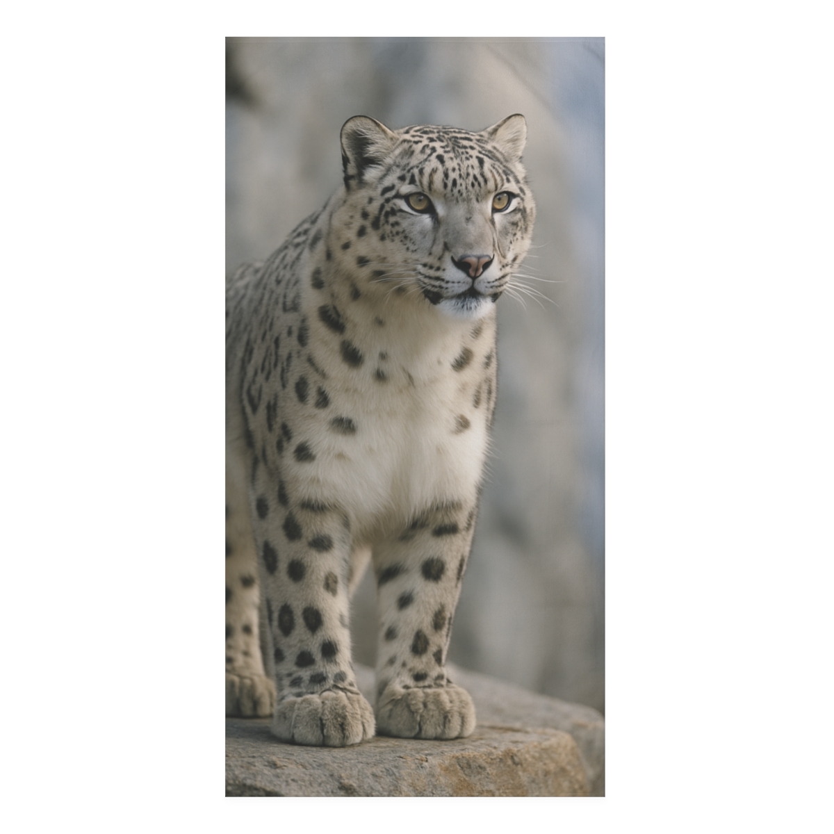 Mist Cliff Snow Leopard decorative home towels