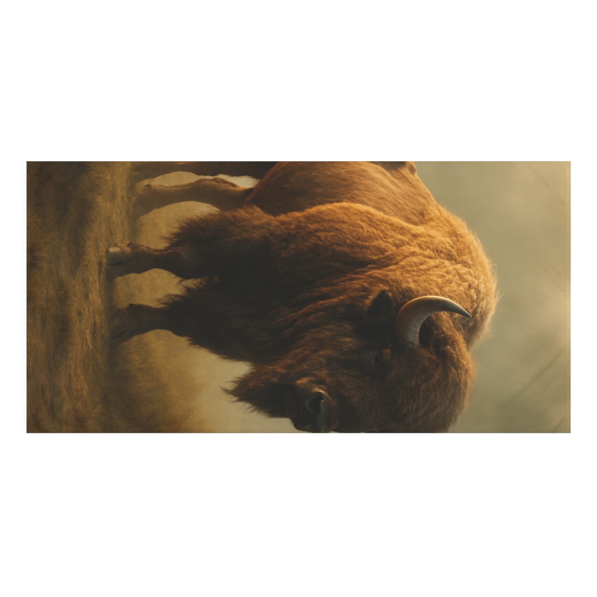 Misty Shadow Bison soft cotton towels
