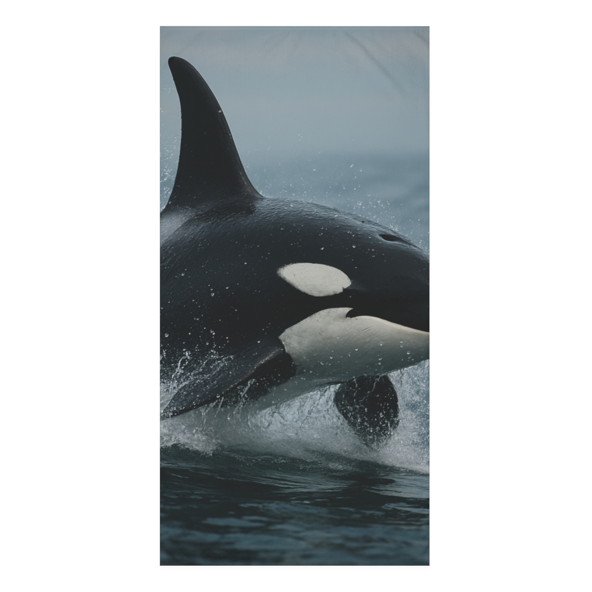 Monochrome Majesty Orca comfortable face towels