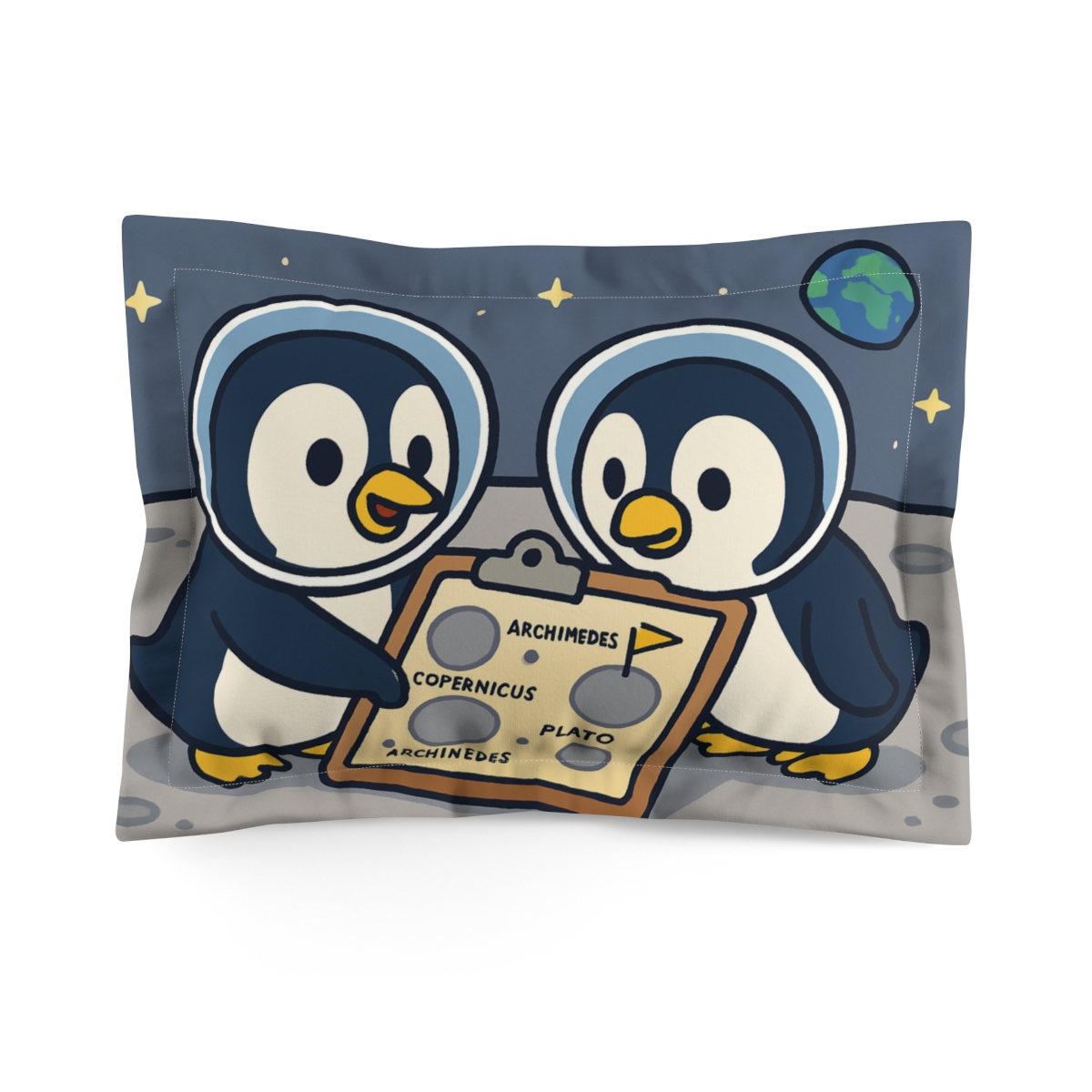 Moon Crater Map Makers unique shape pillows